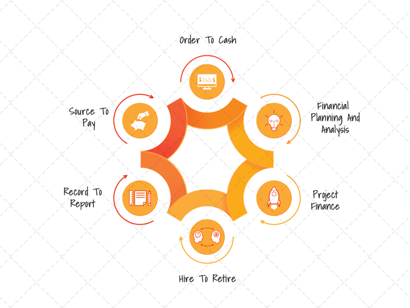 Domain Experience