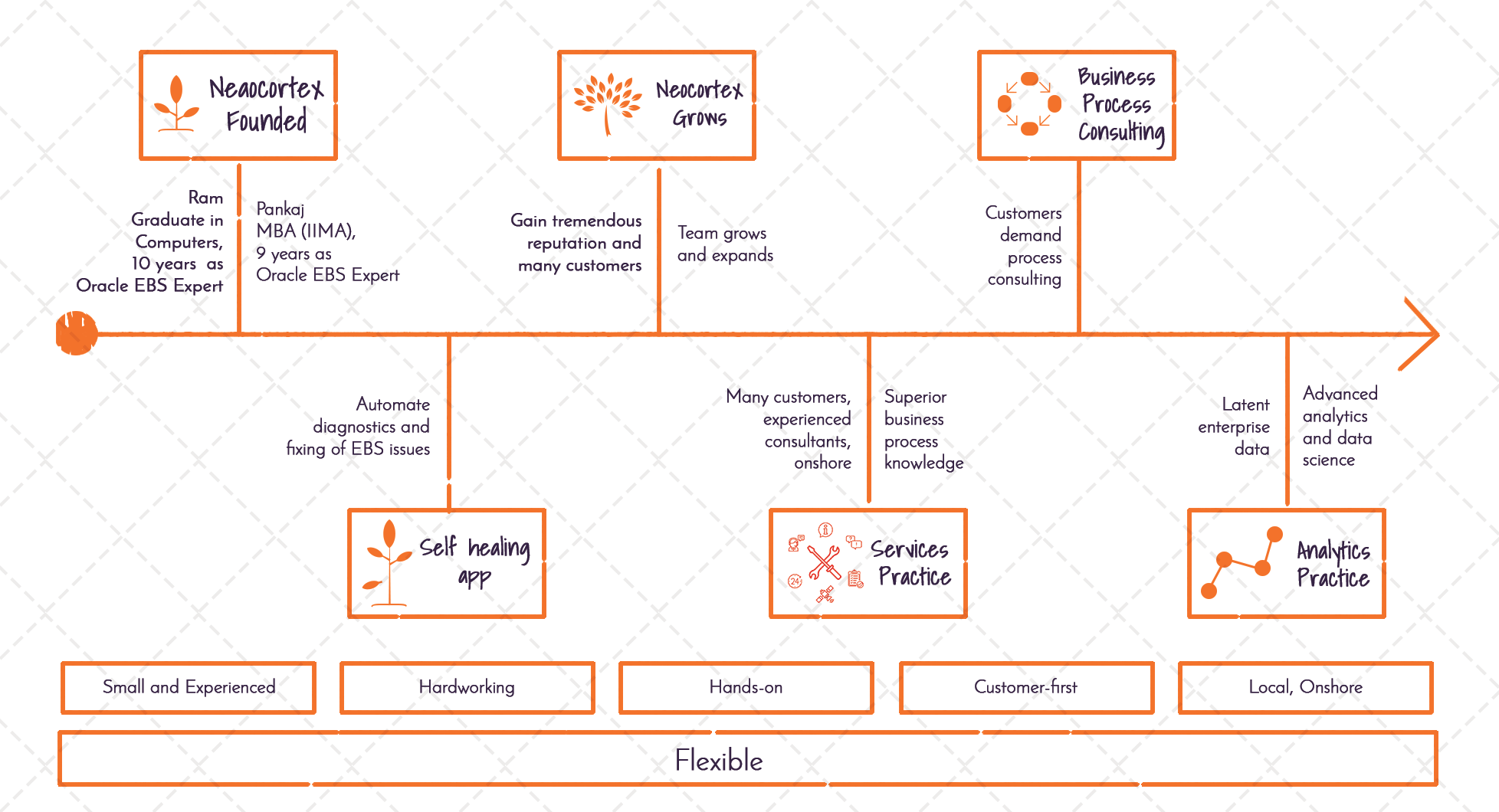 Neocortex journey timeline